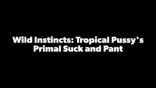 Tropicalpussy – update #22 – Wild Instincts: Tropical Pussy’s Primal Suck and Pant – Dec 26, 2023